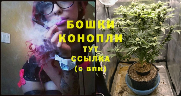 таблы Ельня