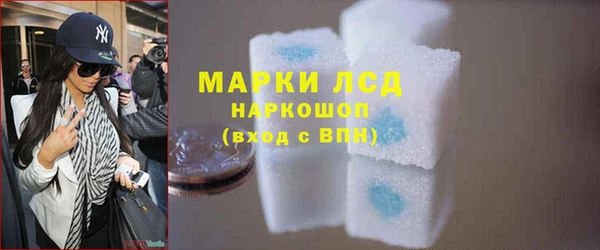прущий лед Новозыбков
