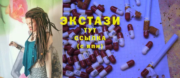 прущий лед Новозыбков