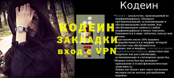 гашик Нягань