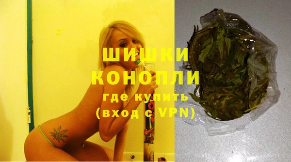прущий лед Новозыбков