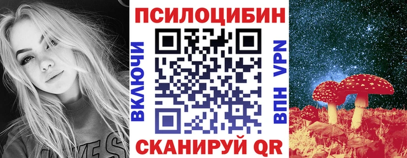 Псилоцибиновые грибы Psilocybe Колпашево